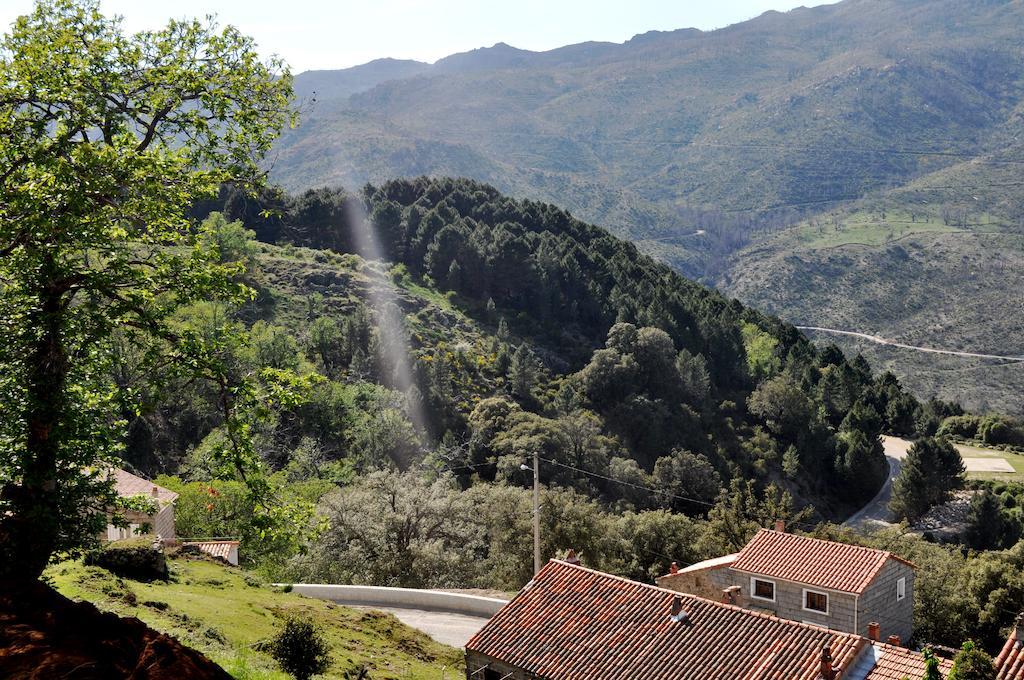 Chambres D'Hotes Villa Cardellini Aullene Buitenkant foto