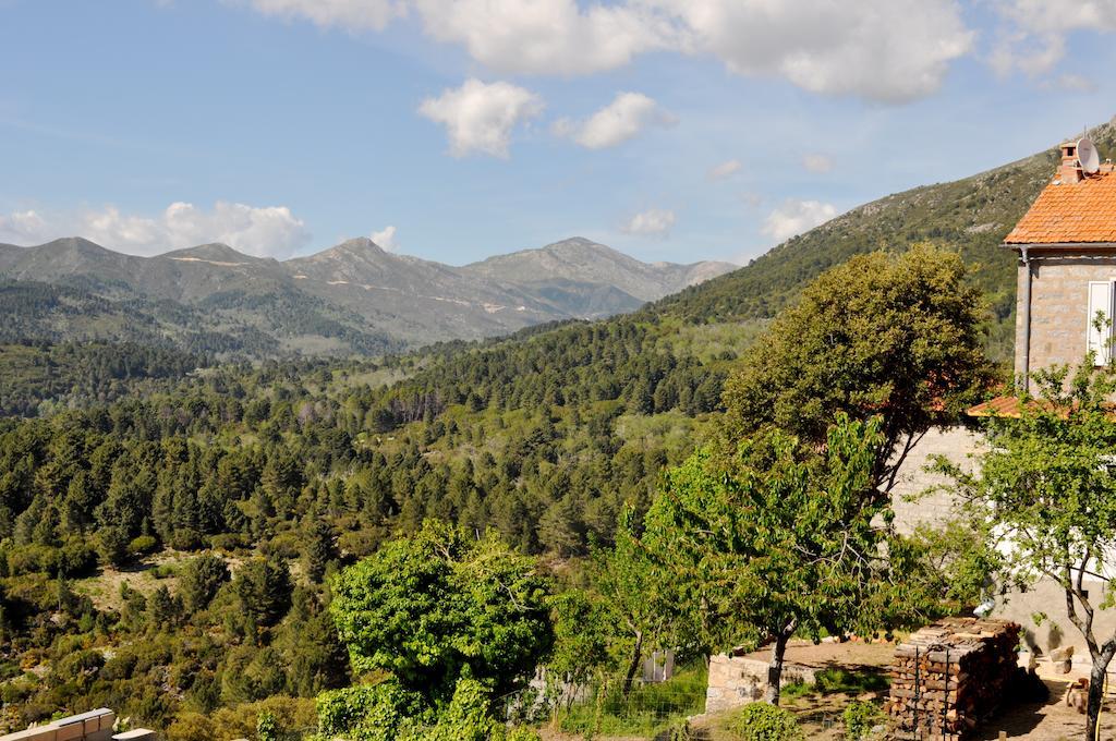 Chambres D'Hotes Villa Cardellini Aullene Buitenkant foto